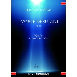 L'Ange Débutant (Ebook)